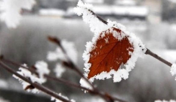 5 il için buzlanma ve don uyarısı