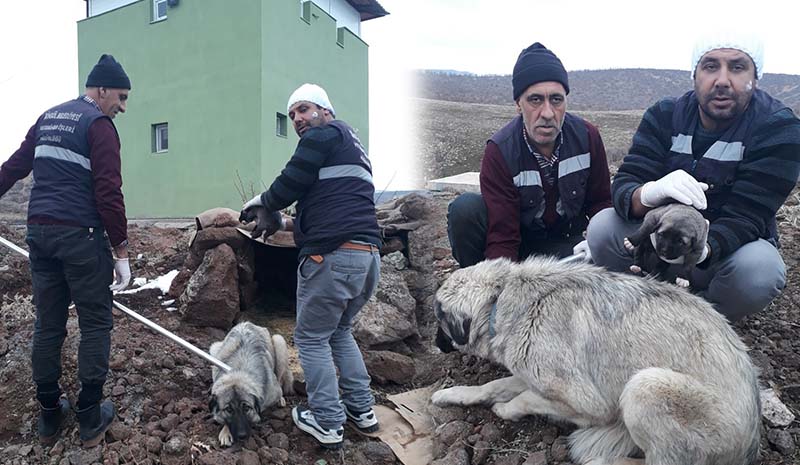 Belediye koruma altına aldı