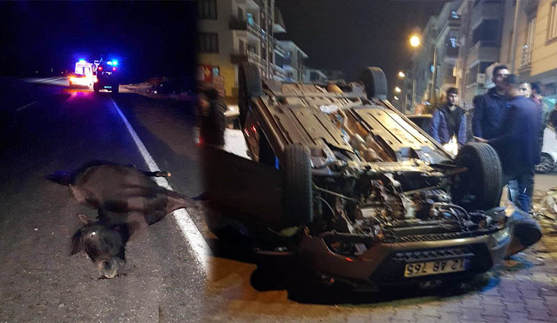 Trafik kazaları: 9 yaralı