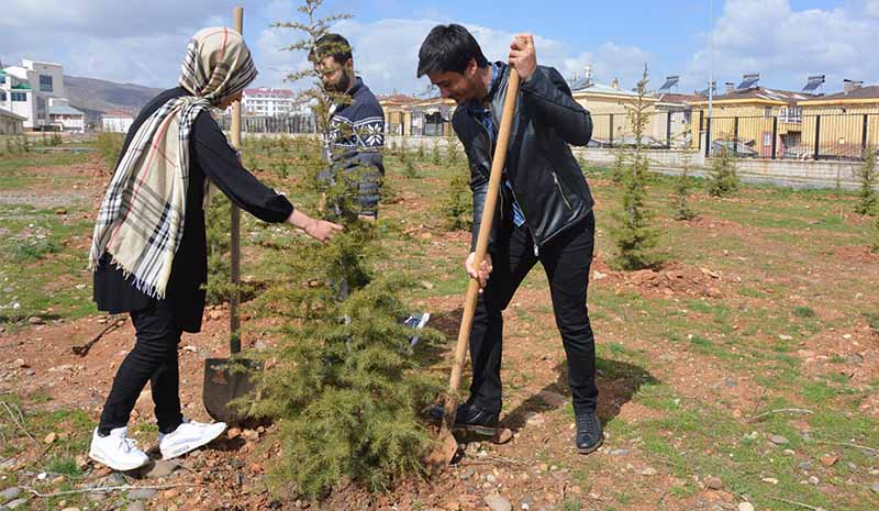 Üniversiteli öğrenciler fidan dikti