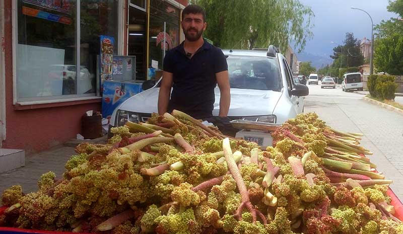 Işkın tezgahlardaki yerini aldı