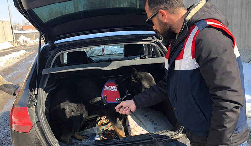 Şubat ayında 12 kişi tutuklandı