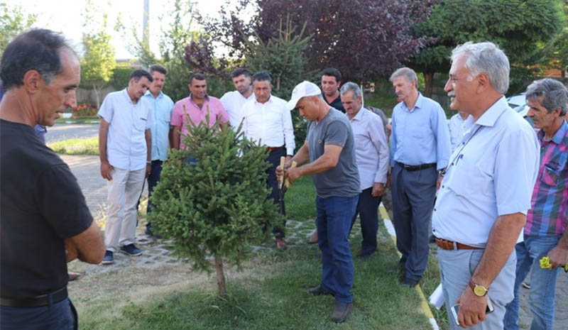 Kursiyerlerden, ağaç budama uygulaması