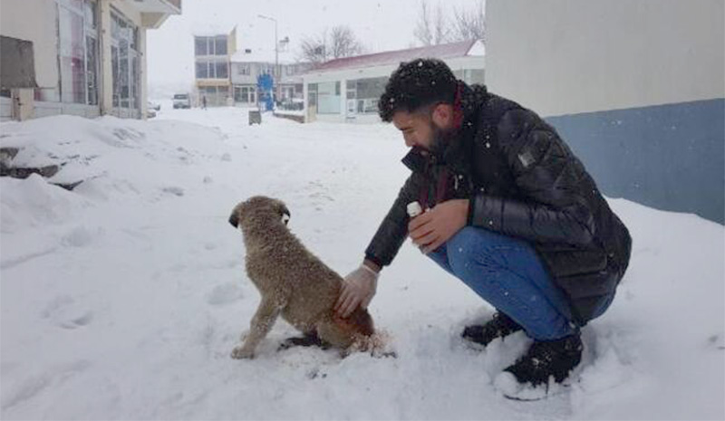 Yavru köpeğe sahip çıktı