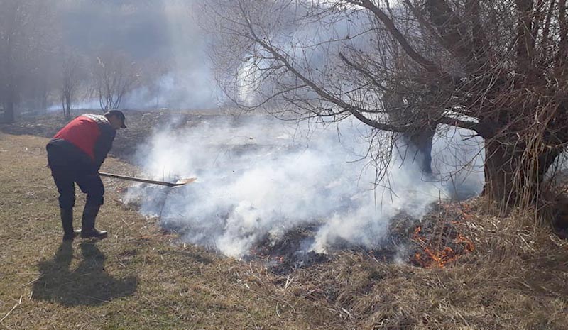 Ovada çıkan yangın ağaçlara zarar verdi