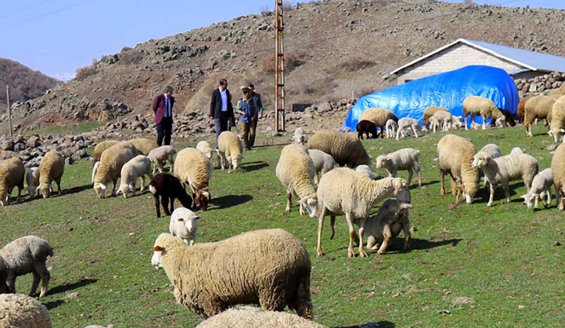 Bahadır, saha ziyaretlerini sürdürüyor