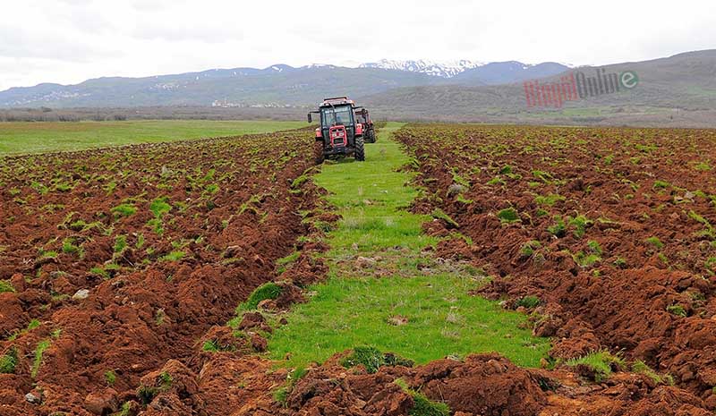 Yüzde 75 hibeyle verilen tohumlar toprakla buluştu