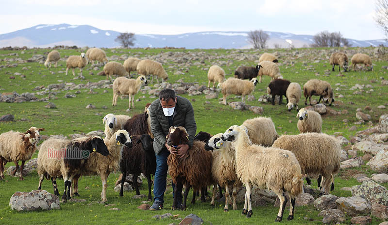 Göçerlerin Covid-19 molası