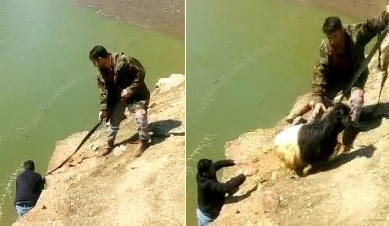 Baraj gölüne düşen keçi kurtarıldı