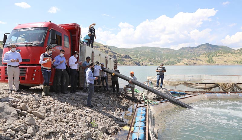 500 bin yavru alabalık baraja bırakıldı