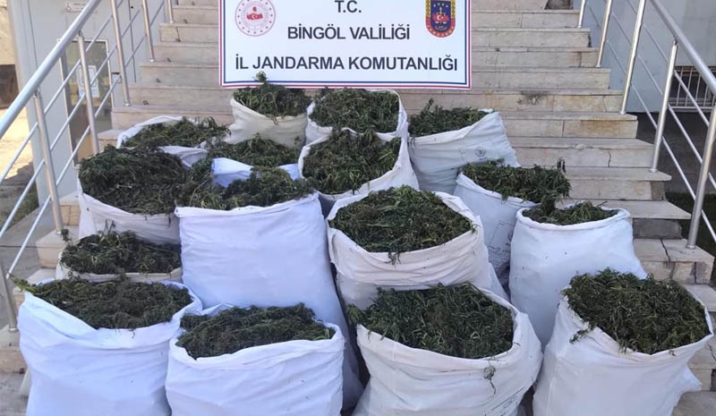 251 kilogram esrar ele geçirildi