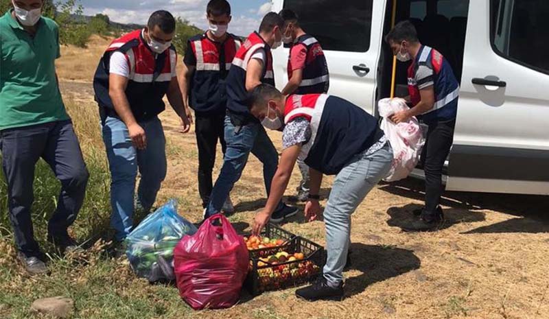 Jandarma, Covid-19 hastasının bahçesinde hasat yaptı