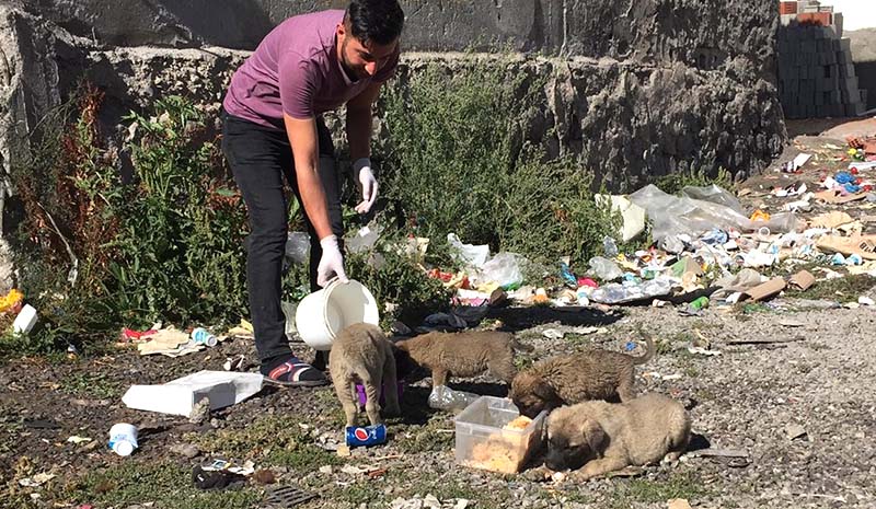 Çöp kenarlarında buldu, bakımlarını üstlendi