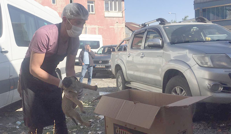 Duyarlı aşçının talebine Başkan Arıkan kayıtsız kalmadı