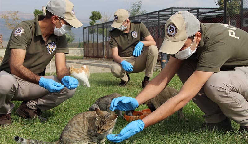 Dilsiz dostlarımızı onlar koruyacak!