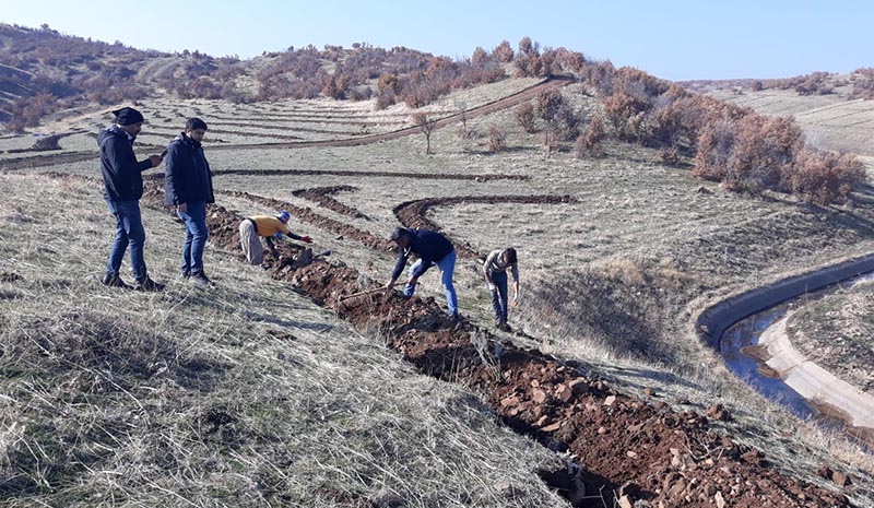 210 dönümlük bal ormanı tamamlandı