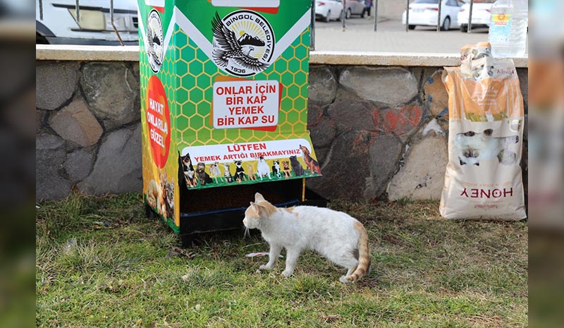 Can dostlar için mamamatik çalışması