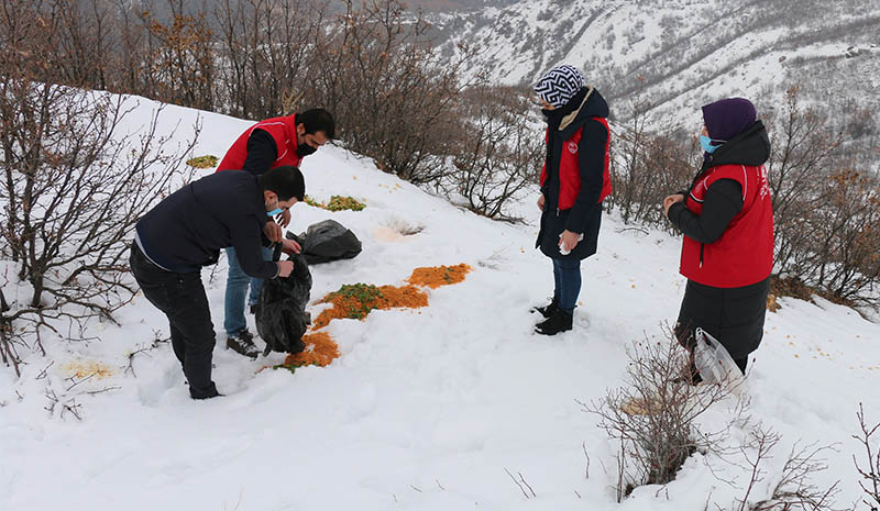 Gençlik merkezi çalışmalarına devam ediyor