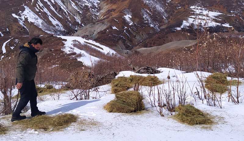 Doğaya 800 kilo yem bırakıldı