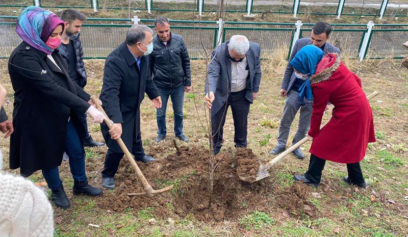 Kadınların Adını Yaşatmak İçin Fidan Diktiler