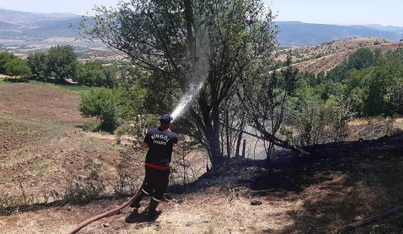 Yangınlar büyümeden söndürüldü