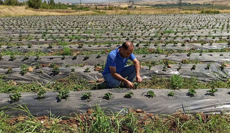 Gıda işletmelerinden numune alındı