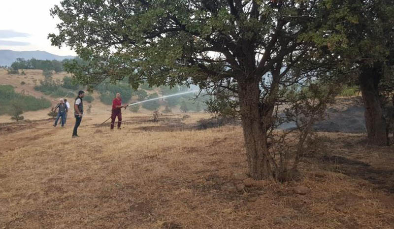 2 ayrı noktada çıkan orman yangını söndürüldü