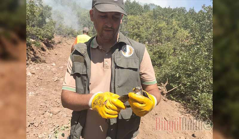 OGM paylaştı: `Ormancılık her şeyden önce vicdan işidir`