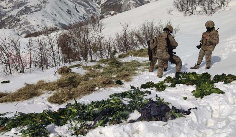 Ekipler, jandarma ile birlikte doğaya yem bıraktı