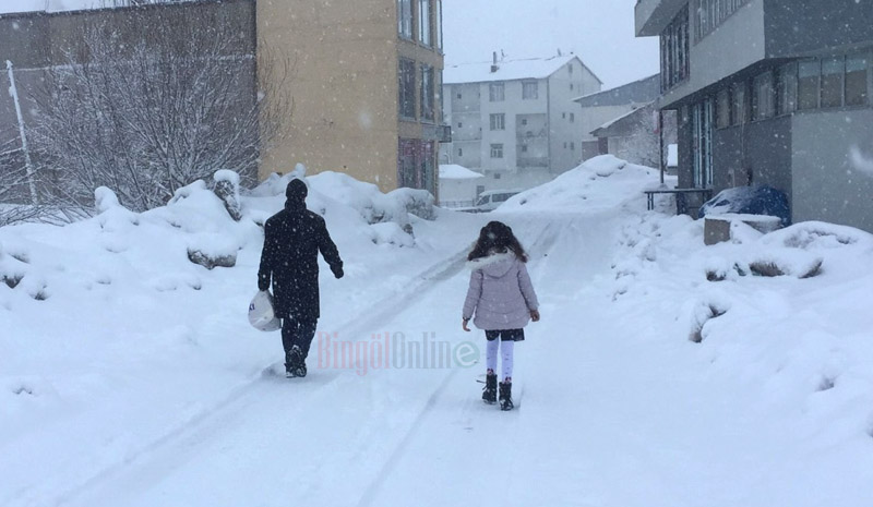 Bingöl`ün iki ilçesinde eğitime kar engeli