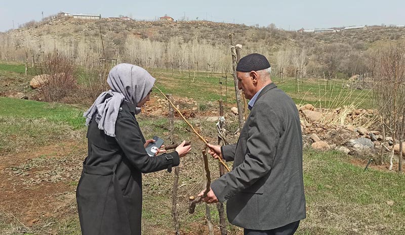 Yetiştiricilere budama eğitimi verildi