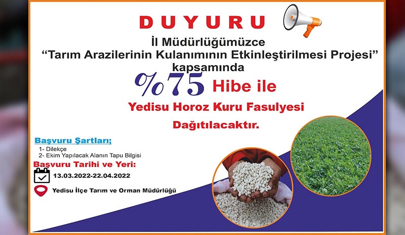 Horoz kuru fasulyesine tohum desteği