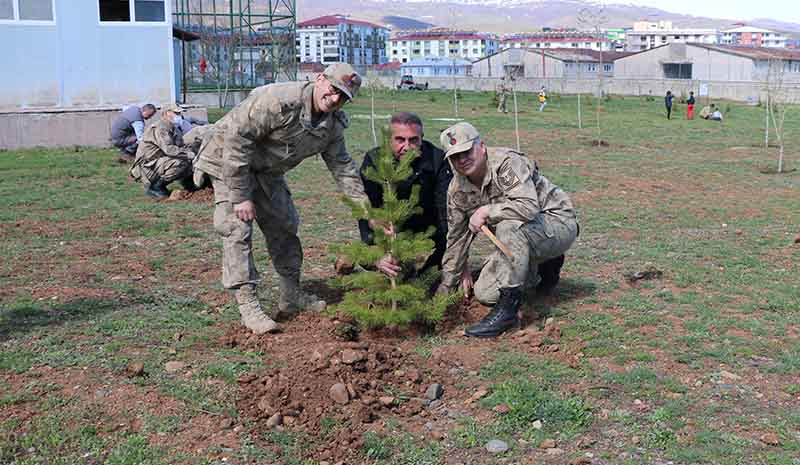 Jandarma şehitler anısına fidan dikti