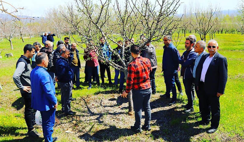 Kursiyerlere ağaç budama ve aşılama eğitimi verilmeye başlandı