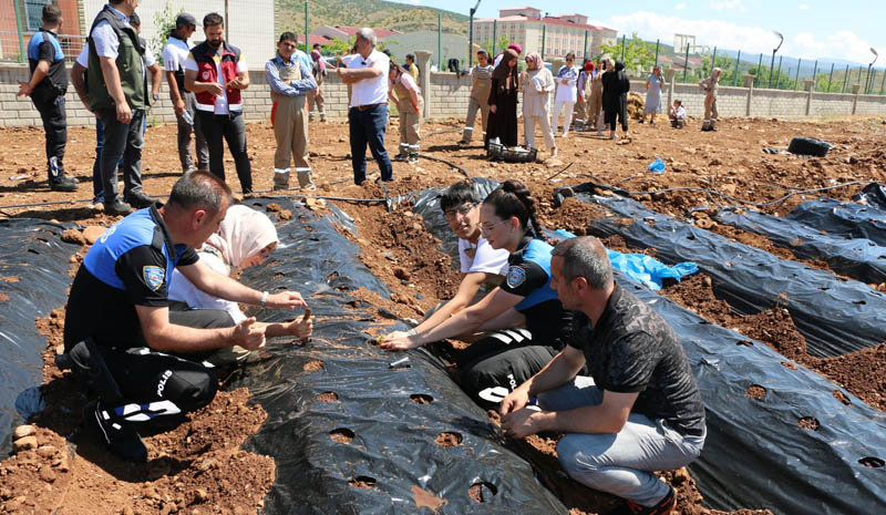 Engellilere yönelik çilek yetiştiriciliği kursu