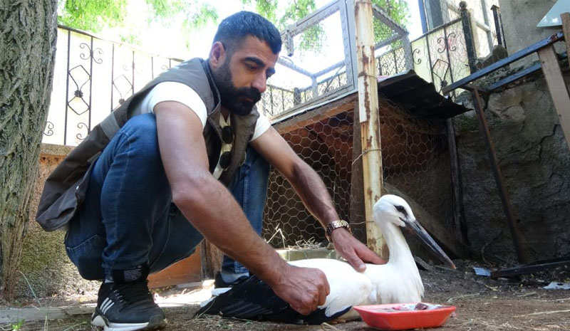 Bitkin halde bulunan yavru leylek tedavi altına alındı