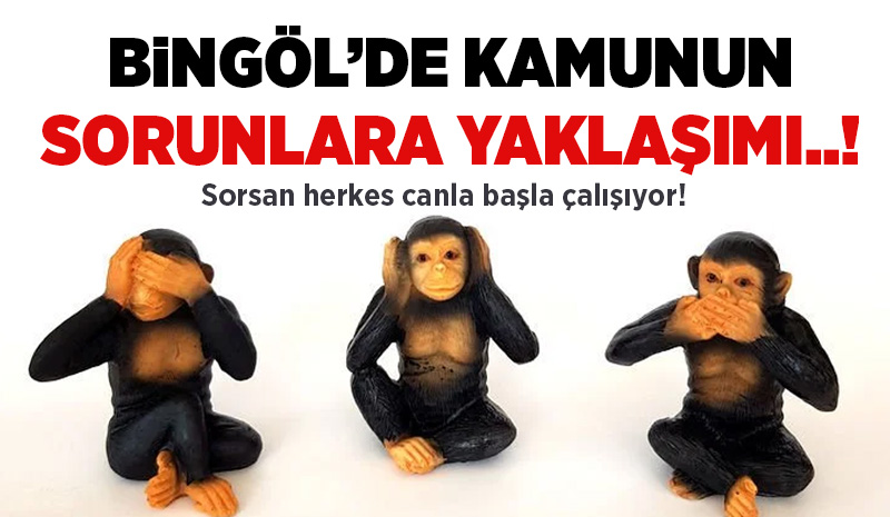 Bingöl`de kamu kurumlarının sorunların çözümünde aktif buluyor musunuz?