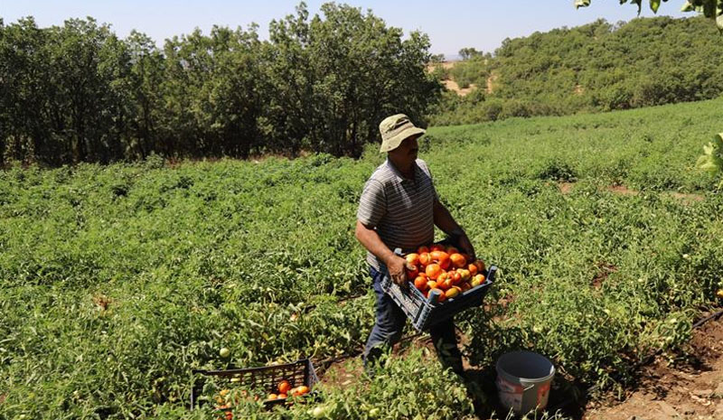 Bingöl`de 600 dekar atıl tarım arazisi üretime kazandırıldı