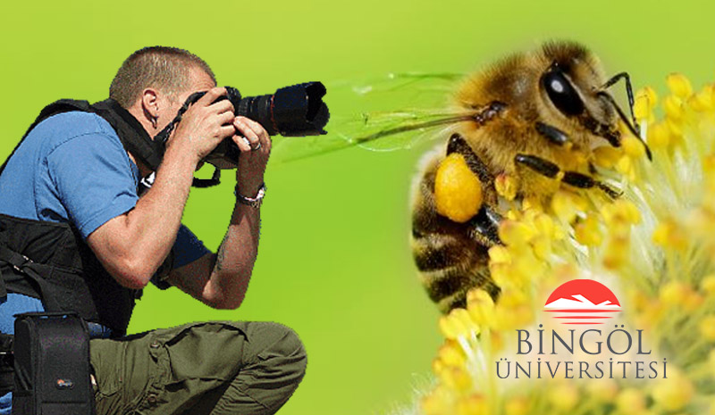 ‘Arı Fotosafari` düzenlenecek