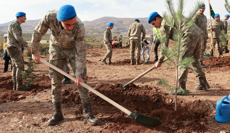 Bingöl`de Mehmetçik, Türkiye yüzyılında Bin 500 Fidan Dikti