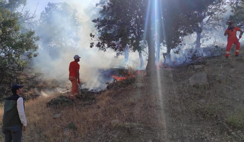 Bingöl`de iki ayrı bölgede yangın