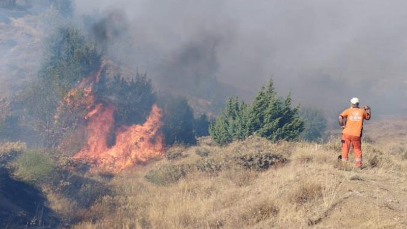 Bingöl`de çıkan orman yangını söndürüldü