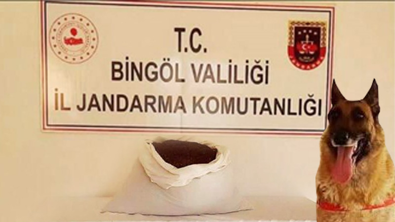 Bingöl`de 15 kilo uyuşturucu madde ele geçirildi