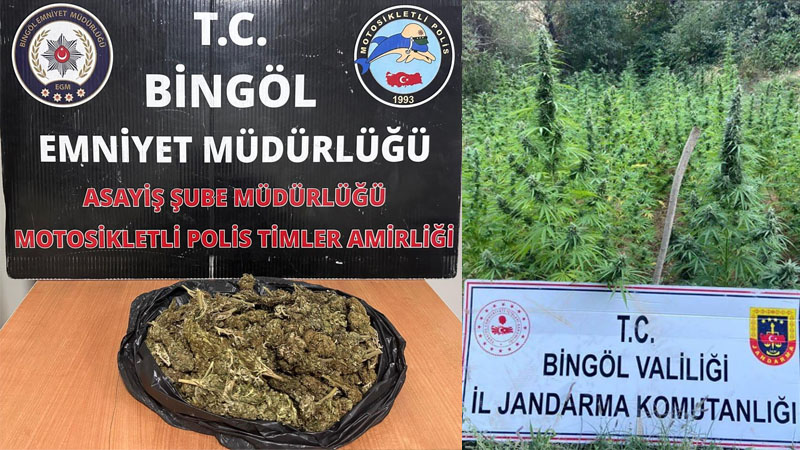 Bingöl`de uyuşturucu madde ele geçirildi