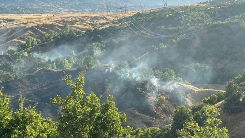 Bingöl`de orman yangını büyümeden söndürüldü