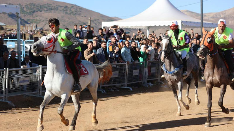 Bingöl`de geleneksel at yarışı