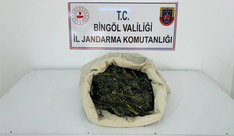 Bingöl`de yaklaşık 2 kilo esrar ele geçirildi