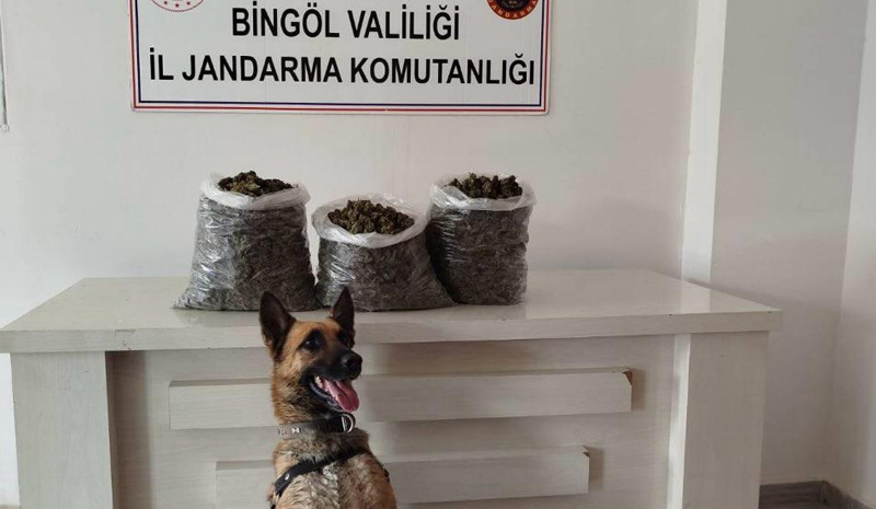 Bingöl`de uyuşturucu baskını! 4,5 kilo esrar ele geçirildi