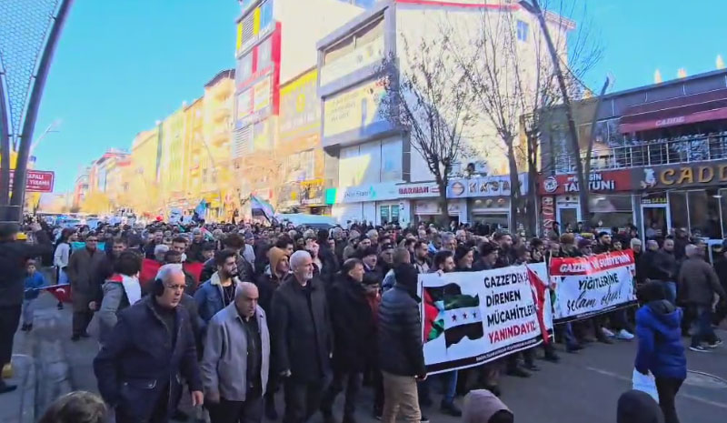 Bingöl`de `Suriye`ye tebrik, Filistin`e destek` yürüyüşü