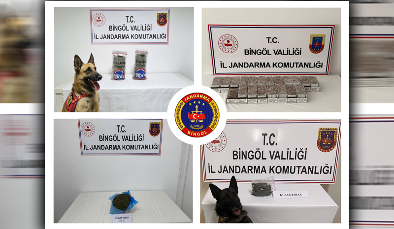 Bingöl`de bir haftada 29 narkotik olaya müdahale